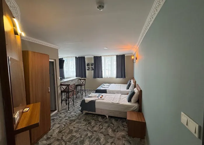 Ersoy Ege 아파트호텔 3*