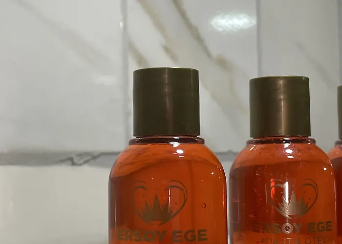 Ersoy Ege 3*
